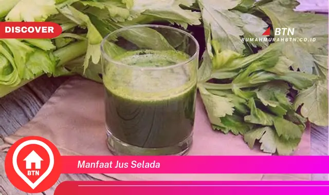 manfaat jus selada