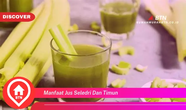 manfaat jus seledri dan timun