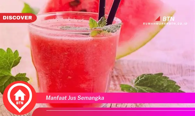 manfaat jus semangka