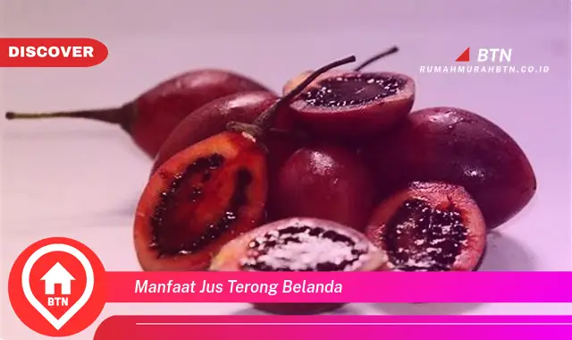 manfaat jus terong belanda