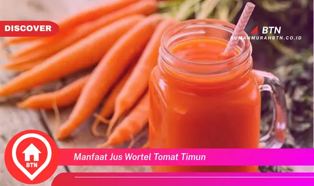 manfaat jus wortel tomat timun