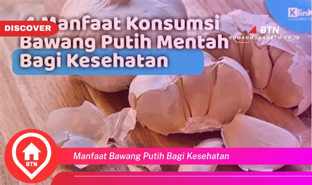 manfaat bawang putih bagi kesehatan