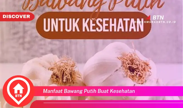 manfaat bawang putih buat kesehatan