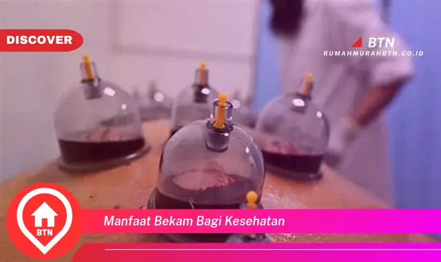 manfaat bekam bagi kesehatan