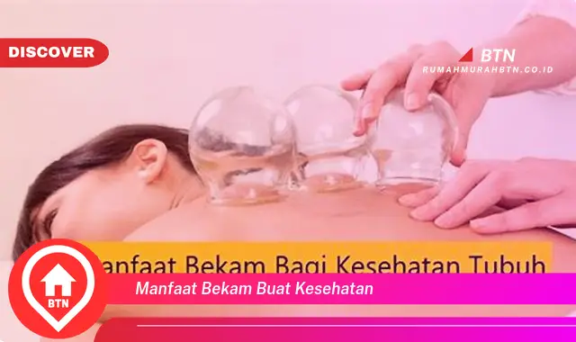 manfaat bekam buat kesehatan