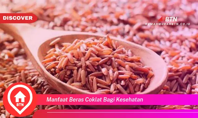 manfaat beras coklat bagi kesehatan