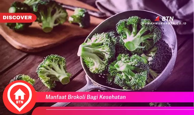 manfaat brokoli bagi kesehatan