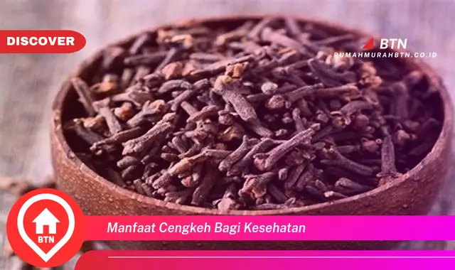 manfaat cengkeh bagi kesehatan