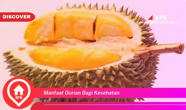 manfaat durian bagi kesehatan