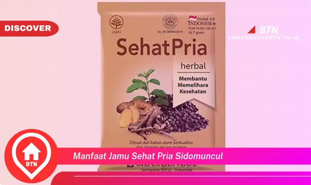 manfaat jamu sehat pria sidomuncul