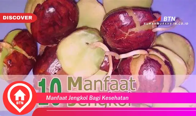 manfaat jengkol bagi kesehatan