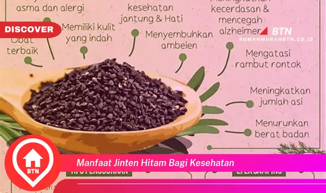 manfaat jinten hitam bagi kesehatan