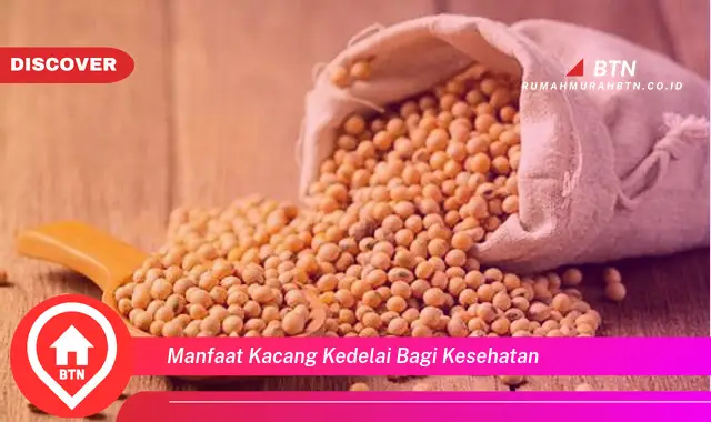 manfaat kacang kedelai bagi kesehatan