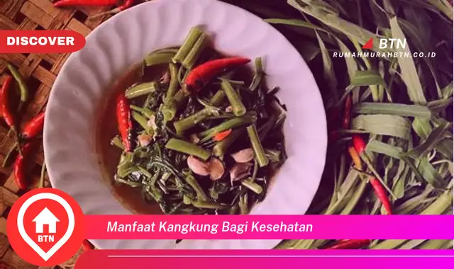 manfaat kangkung bagi kesehatan