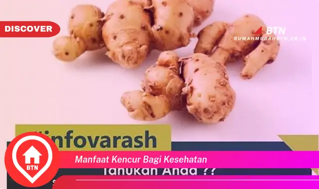 manfaat kencur bagi kesehatan