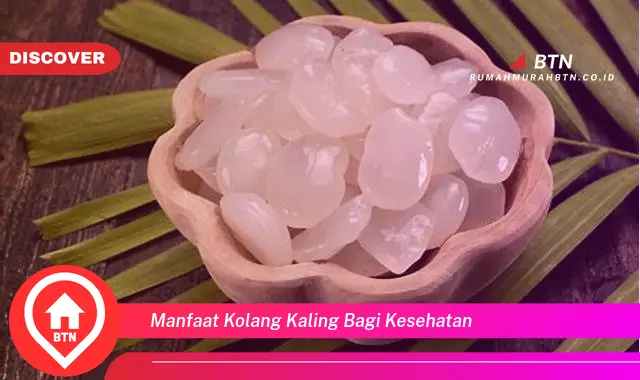 manfaat kolang kaling bagi kesehatan