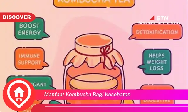 manfaat kombucha bagi kesehatan