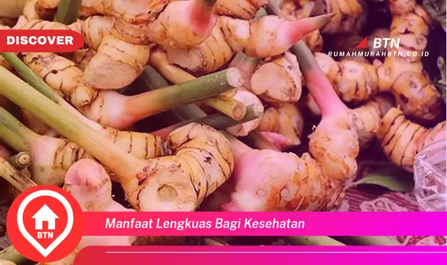 manfaat lengkuas bagi kesehatan