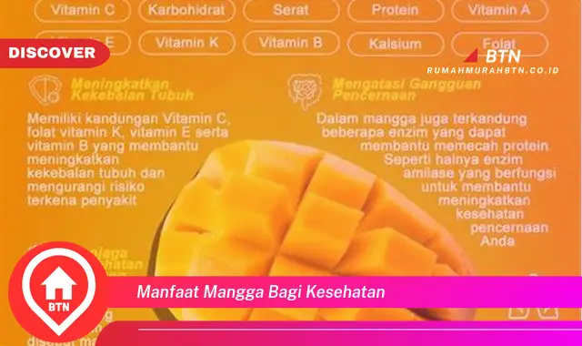 manfaat mangga bagi kesehatan