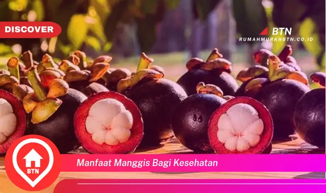 manfaat manggis bagi kesehatan