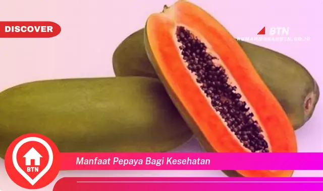 manfaat pepaya bagi kesehatan