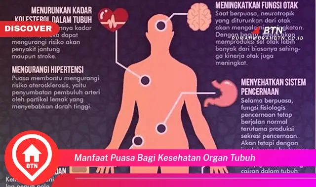 manfaat puasa bagi kesehatan organ tubuh