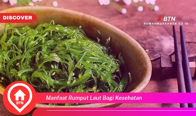 manfaat rumput laut bagi kesehatan