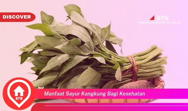 manfaat sayur kangkung bagi kesehatan