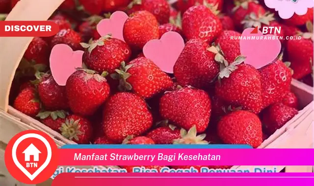 manfaat strawberry bagi kesehatan