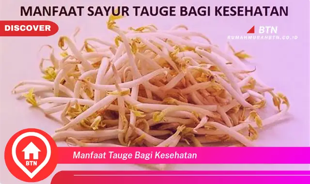 manfaat tauge bagi kesehatan