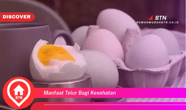 manfaat telur bagi kesehatan