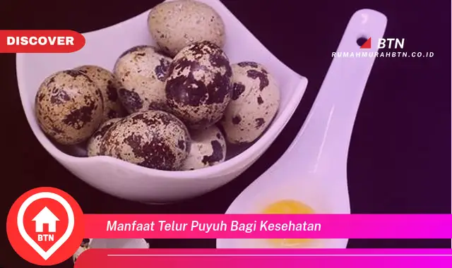 manfaat telur puyuh bagi kesehatan