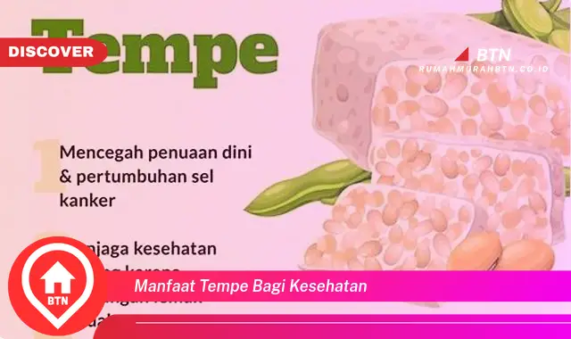 manfaat tempe bagi kesehatan