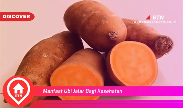 manfaat ubi jalar bagi kesehatan