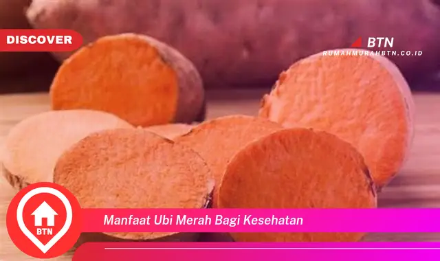 manfaat ubi merah bagi kesehatan