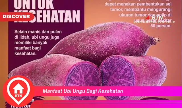 manfaat ubi ungu bagi kesehatan