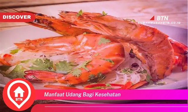 manfaat udang bagi kesehatan