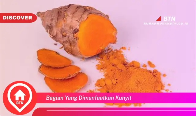 bagian yang dimanfaatkan kunyit