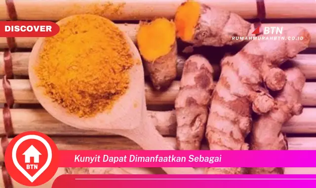 kunyit dapat dimanfaatkan sebagai