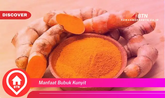 manfaat bubuk kunyit