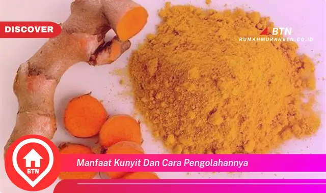 manfaat kunyit dan cara pengolahannya