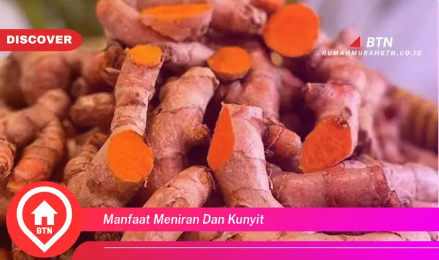 manfaat meniran dan kunyit