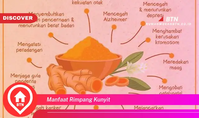 manfaat rimpang kunyit