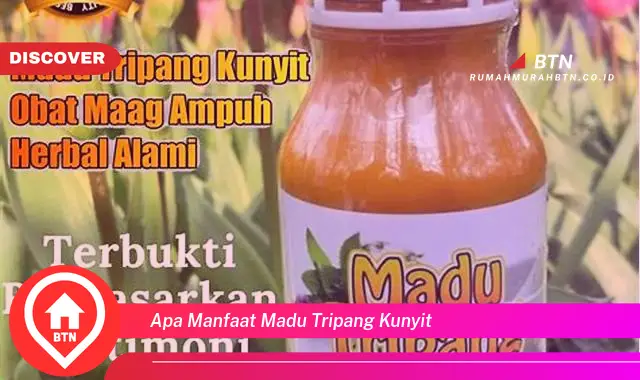 apa manfaat madu tripang kunyit