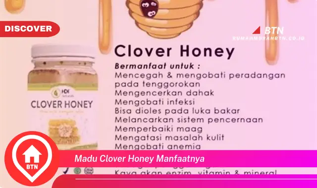 madu clover honey manfaatnya