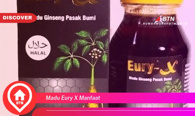 madu eury x manfaat