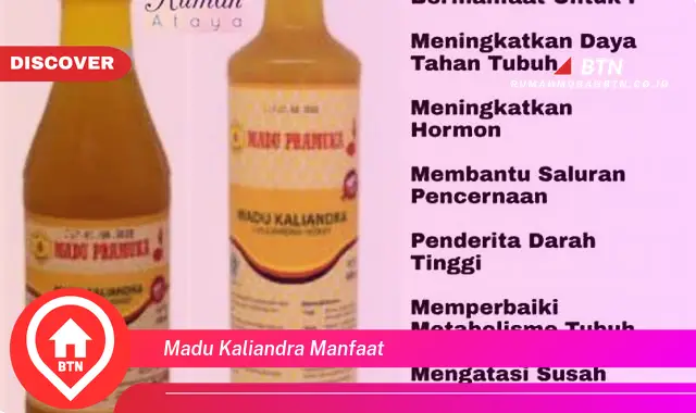 madu kaliandra manfaat