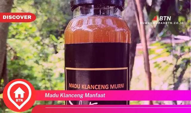 madu klanceng manfaat