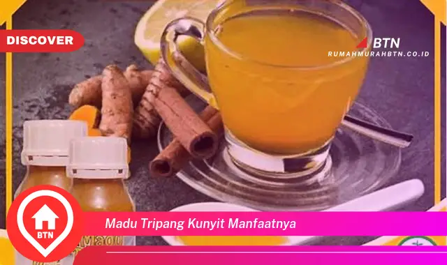 madu tripang kunyit manfaatnya