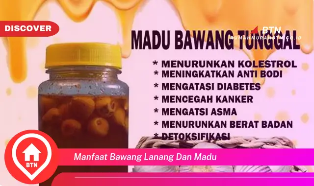 manfaat bawang lanang dan madu